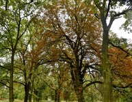 DSC_0025-EDIT.jpg