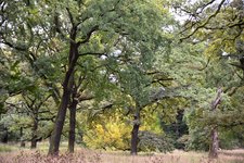 DSC_0010.JPG