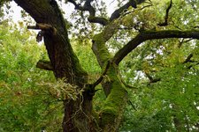 DSC_0092.JPG