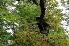 DSC_0099-EDIT.jpg