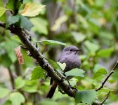 DSC_0002-EDIT.jpg