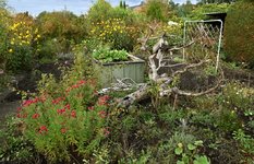 DSC_0080.JPG