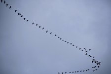 DSC_0069-EDIT.jpg