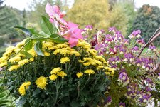 DSC_0134-EDIT.jpg