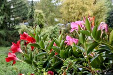 DSC_0135-EDIT.jpg