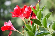 DSC_0132-EDIT.jpg