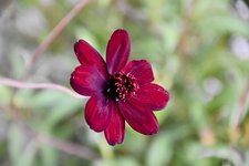 DSC_0119-EDIT.jpg
