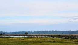 DSC_0077-EDIT.jpg