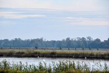 DSC_0092-EDIT.jpg