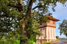 DSC_0116-EDIT.jpg