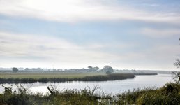DSC_0120-EDIT.jpg