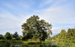 DSC_0239-EDIT.jpg