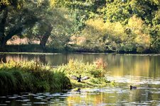 DSC_0268-EDIT.jpg