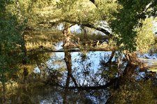 DSC_0408.JPG