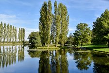 DSC_0435-EDIT.jpg