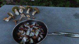 IMG_1256+.JPG