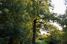 DSC_0122.JPG DSC_0122.JPG
