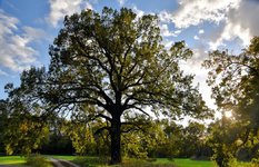 DSC_0038-EDIT.jpg