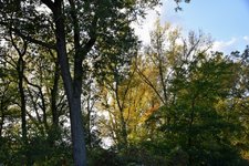 DSC_0007.JPG DSC_0007.JPG