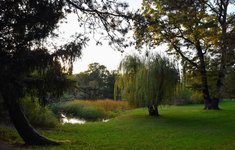 DSC_0135.JPG DSC_0135.JPG