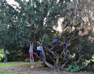 DSC_0141.JPG DSC_0141.JPG