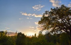 DSC_0125-EDIT.jpg