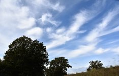 DSC_0425.JPG