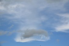 DSC_0464.JPG