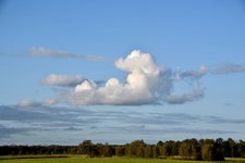 DSC_0040-EDIT.jpg