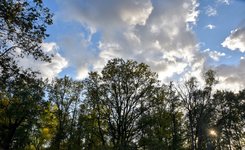 DSC_0025-EDIT.jpg