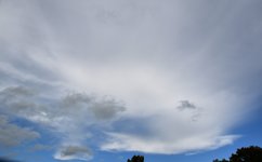 DSC_0466.JPG