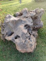 IMG-20241013-WA0021.jpg