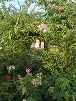 IMG-20241013-WA0038(1).jpg