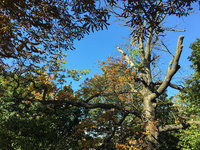 IMG_7184.JPG