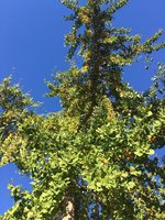 IMG_7204.JPG