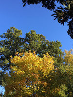 IMG_7209.JPG