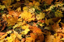 DSC_0271-EDIT.jpg