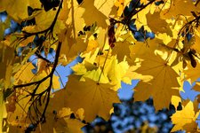DSC_0276-EDIT.jpg