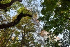 DSC_0034-EDIT.jpg