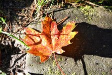 DSC_0061-EDIT.jpg