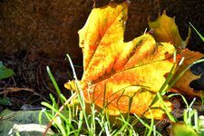 DSC_0058-EDIT.jpg