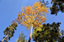 DSC_0299-EDIT.jpg