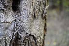 DSC_0362.JPG