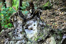 DSC_0100-EDIT.jpg