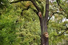 DSC_0053.JPG