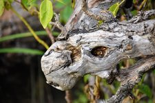 DSC_0076.JPG