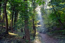 DSC_0012.JPG