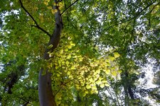 DSC_0042-EDIT.jpg