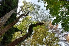 DSC_0036-EDIT.jpg