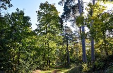 DSC_0065-EDIT.jpg